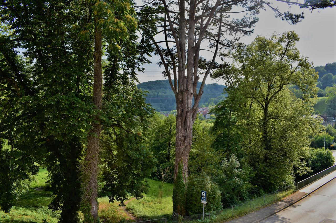 Bad Bruckhaus Erlebnishotel Waldshut-Tiengen Buitenkant foto